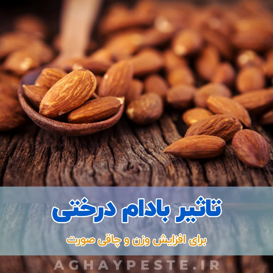 خواص بادام درختی برای چاقی صورت و افزایش وزن _ آقای پسته