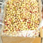 پسته نوبرانه آقای پسته